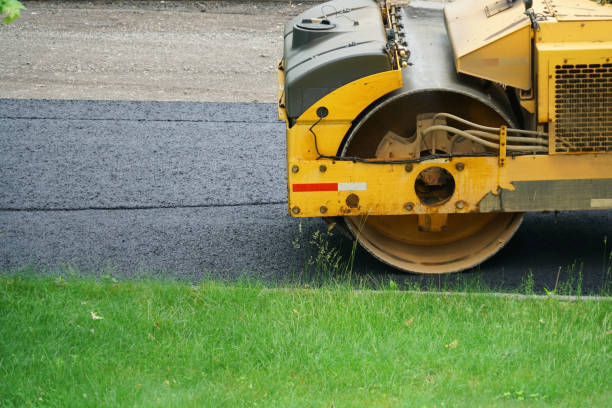 Best Driveway Pavers Near Me  in Mount Morris, IL